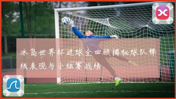 冰岛世界杯进球全回顾揭秘球队锋线表现与小组赛战绩