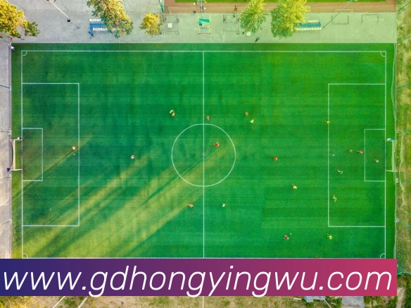 云顶网页版入口平台生态图