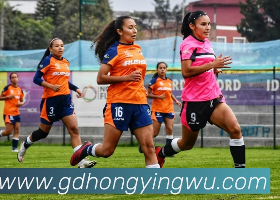 云顶网页版入口全站App